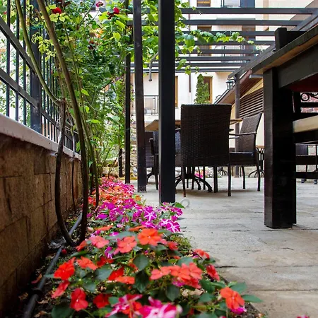 Tsb Roxy Slăntjev Brjag