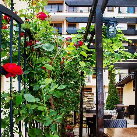 Tsb Roxy Slăntjev Brjag