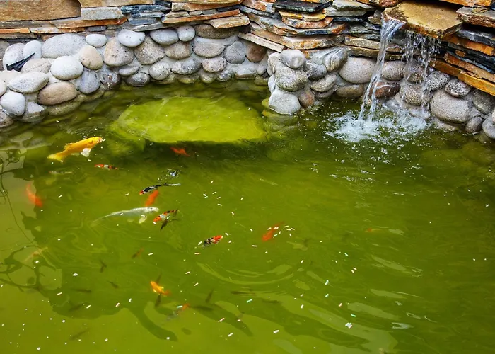 Tsb Roxy Hotel Sunny Beach