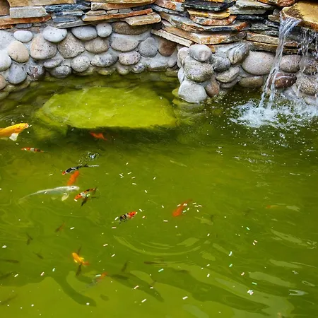 Tsb Roxy 호텔 써니비치